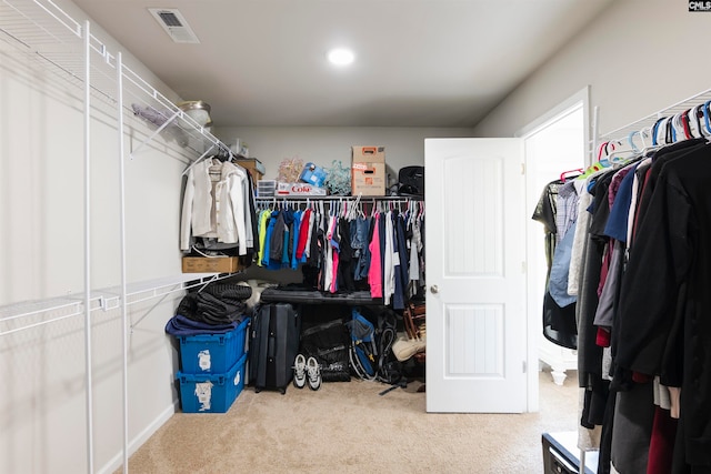 spacious closet featuring light carpet