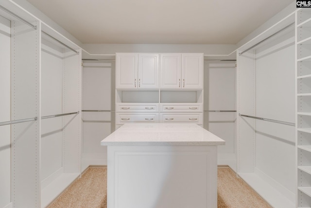 walk in closet with light colored carpet