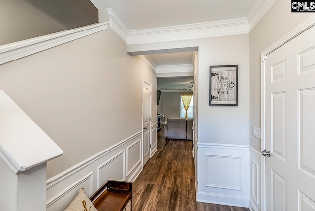 corridor featuring dark wood-type flooring and ornamental molding