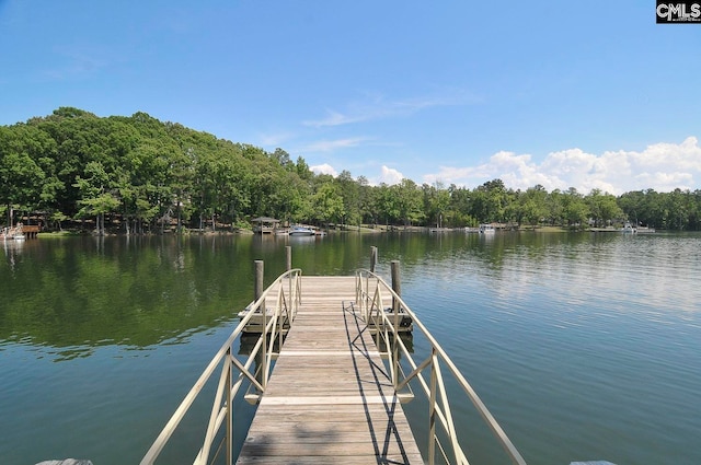 dock area with a water view