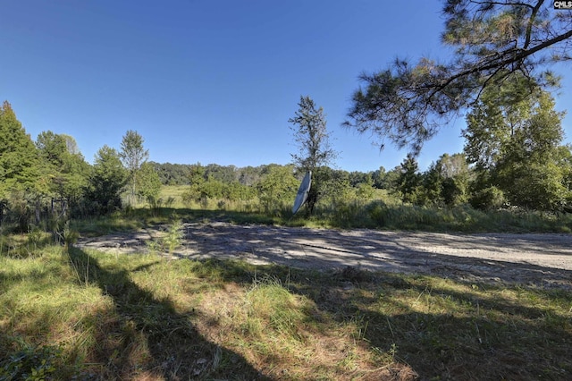 1490 Shiver Pond Rd, Camden, SC 29020 - view of yard featuring a view of trees