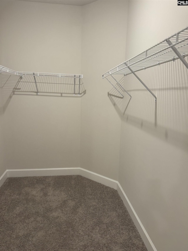 1282 Sessions Rd, Elgin, SC 29045 - spacious closet featuring carpet flooring