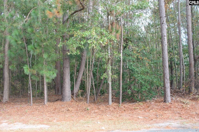 Listing photo 3 for 0 Durango Dr, Leesville SC 29070