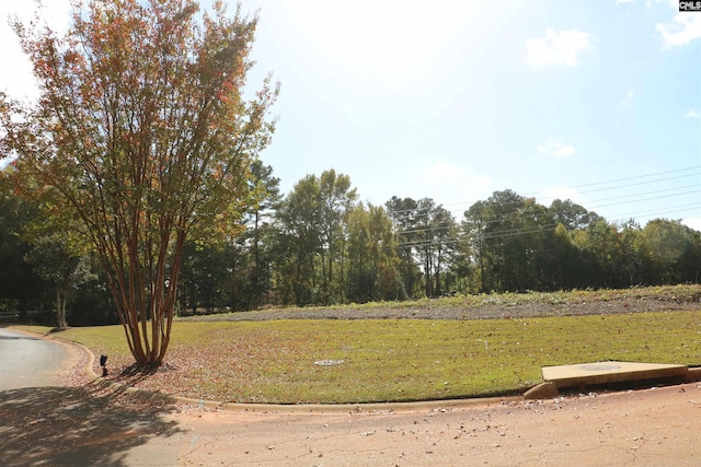 Listing photo 3 for 0 Bethany Dr, Irmo SC 29063