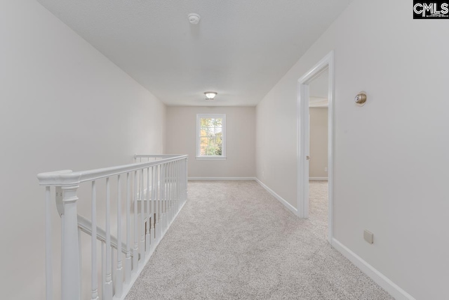 hallway with light carpet