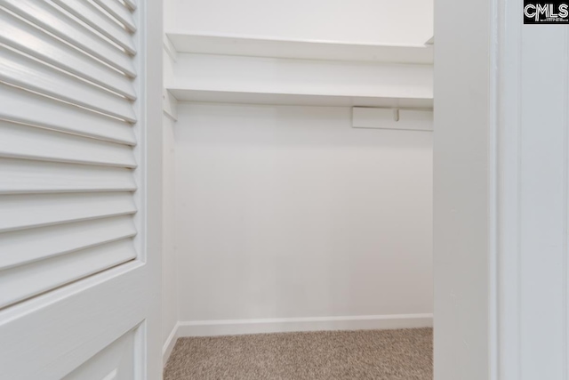 spacious closet featuring light colored carpet