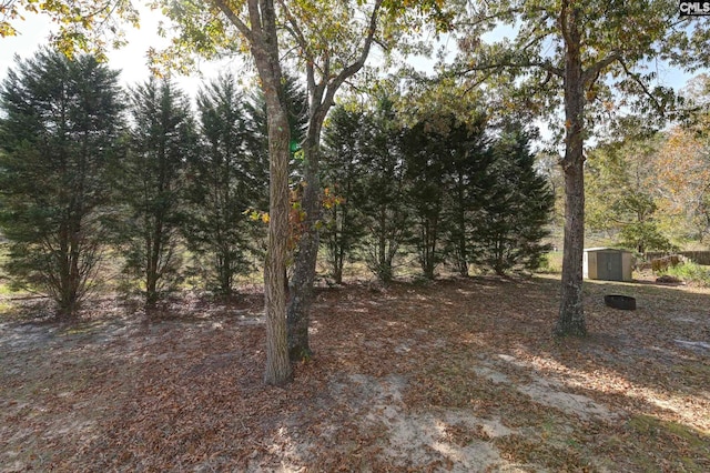 view of yard featuring a shed