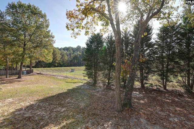 view of yard featuring a rural view