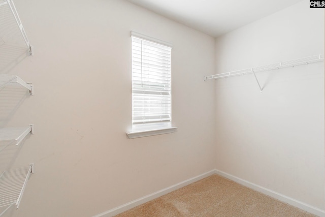 spacious closet with carpet floors