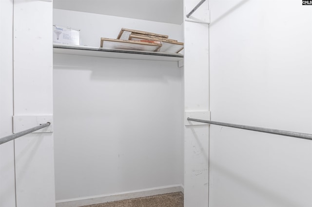 spacious closet with carpet floors