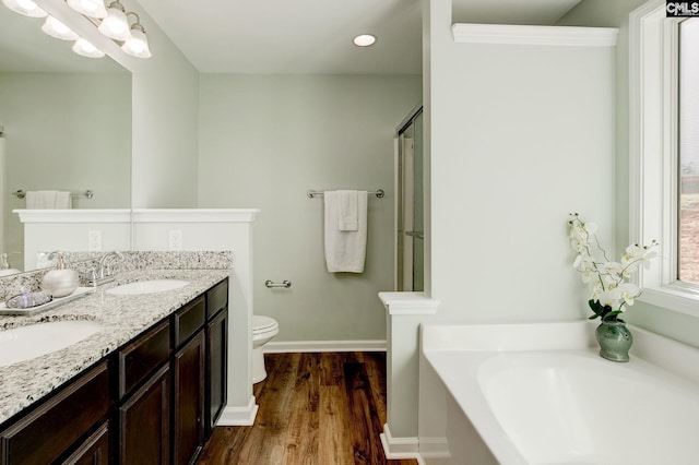 full bathroom featuring wood-type flooring, independent shower and bath, toilet, and vanity