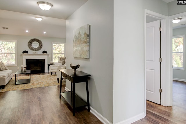 hall with hardwood / wood-style flooring and a healthy amount of sunlight