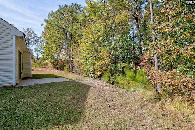 view of yard featuring a patio area