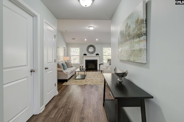 corridor featuring dark hardwood / wood-style floors