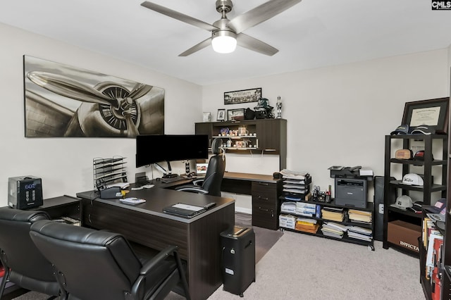 339 Newberg Rd, Chapin, SC 29036 - office space featuring a ceiling fan and carpet floors