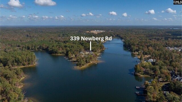 339 Newberg Rd, Chapin, SC 29036 - bird's eye view of a forest and a nearby body of water