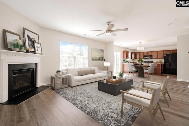 living room featuring ceiling fan and dark hardwood / wood-style flooring