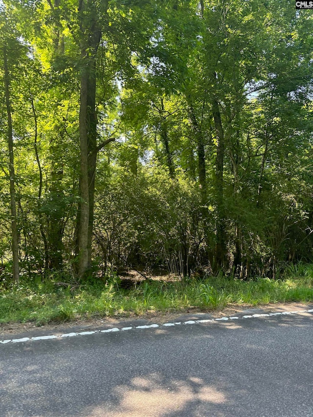 0 Pisgah Rd Unit 3, Rembert, SC 29128