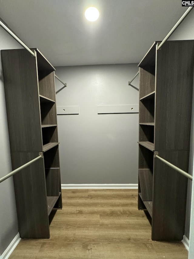 spacious closet with hardwood / wood-style floors