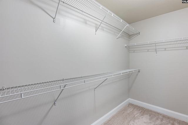 spacious closet with carpet floors