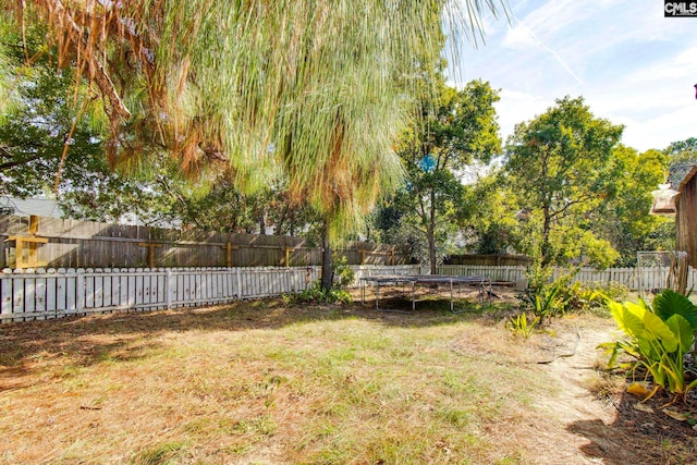 view of yard with a trampoline