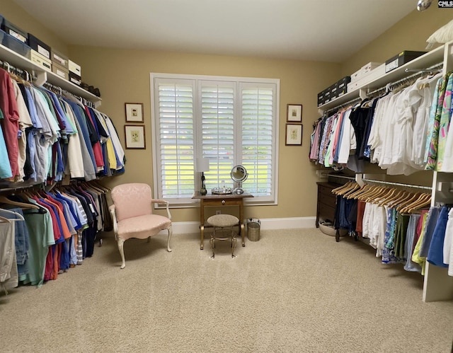 345 Old Wood Dr, Columbia, SC 29212 - walk in closet featuring carpet floors