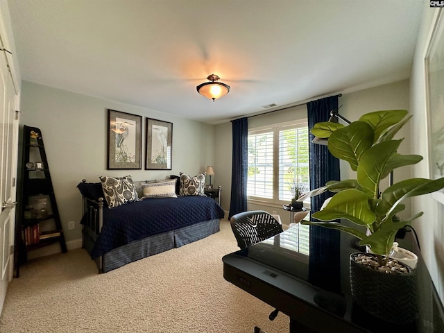 345 Old Wood Dr, Columbia, SC 29212 - view of carpeted bedroom