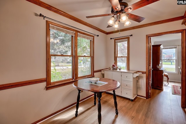 dining area with plenty of natural light, ceiling fan, crown molding, and light hardwood / wood-style flooring