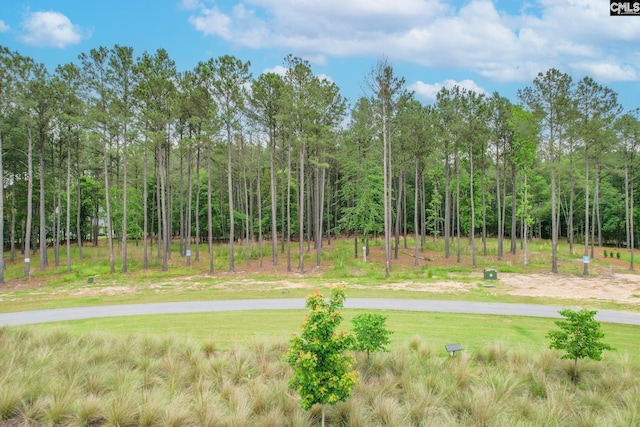 153 Stewart Landing Dr Unit 122, Prosperity SC, 29127 land for sale