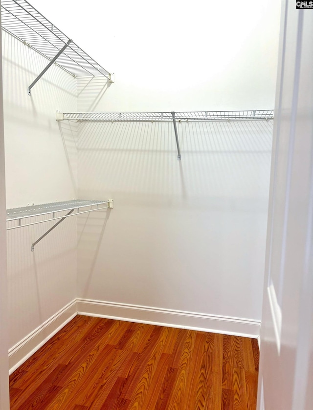 walk in closet with hardwood / wood-style floors