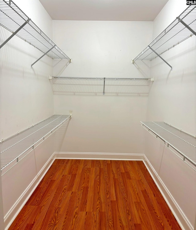 spacious closet with hardwood / wood-style flooring