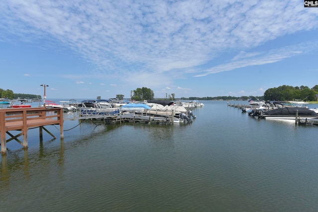 dock area featuring a water view