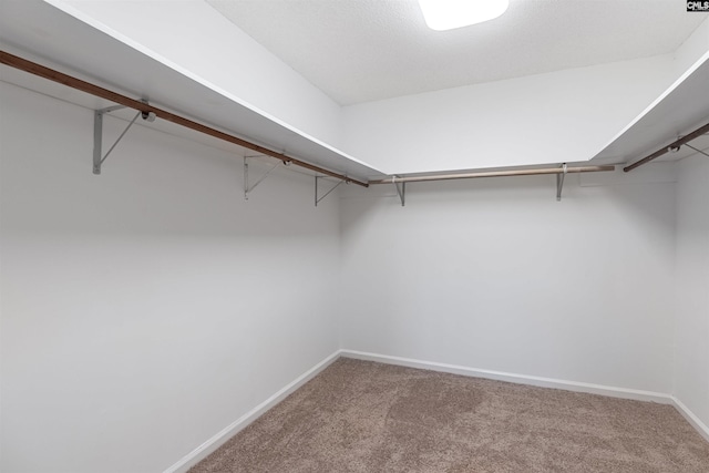 walk in closet featuring carpet