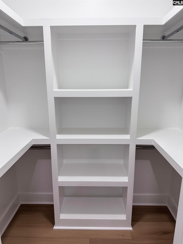 spacious closet featuring wood-type flooring