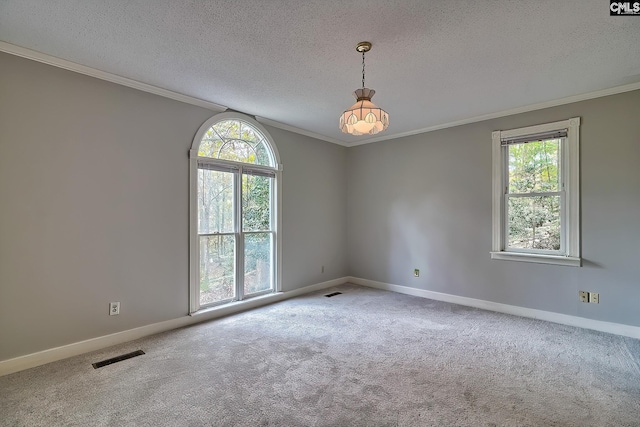 115 Cedar Lake Rd, Blythewood, SC 29016 - unfurnished room featuring ornamental molding, carpet floors, baseboards, and a textured ceiling