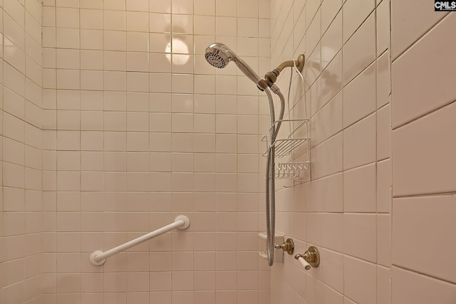 115 Cedar Lake Rd, Blythewood, SC 29016 - bathroom view of a tile shower
