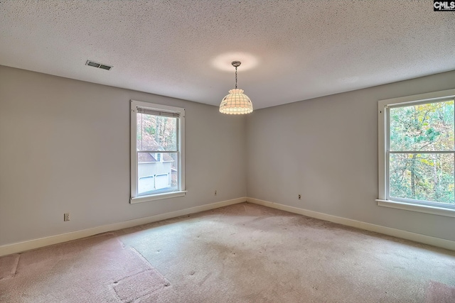 115 Cedar Lake Rd, Blythewood, SC 29016 - empty room with healthy amount of natural light, light colored carpet, a textured ceiling, and baseboards