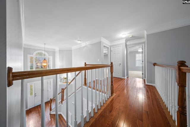 hall with hardwood / wood-style floors, plenty of natural light, a notable chandelier, and crown molding