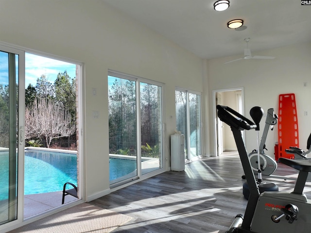 workout room featuring hardwood / wood-style flooring and ceiling fan