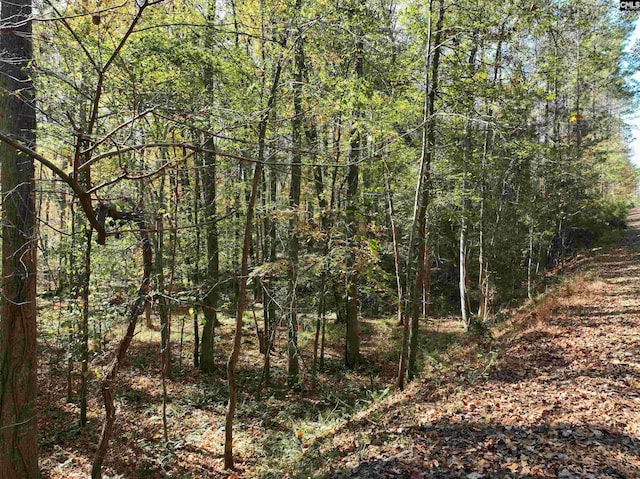 view of local wilderness