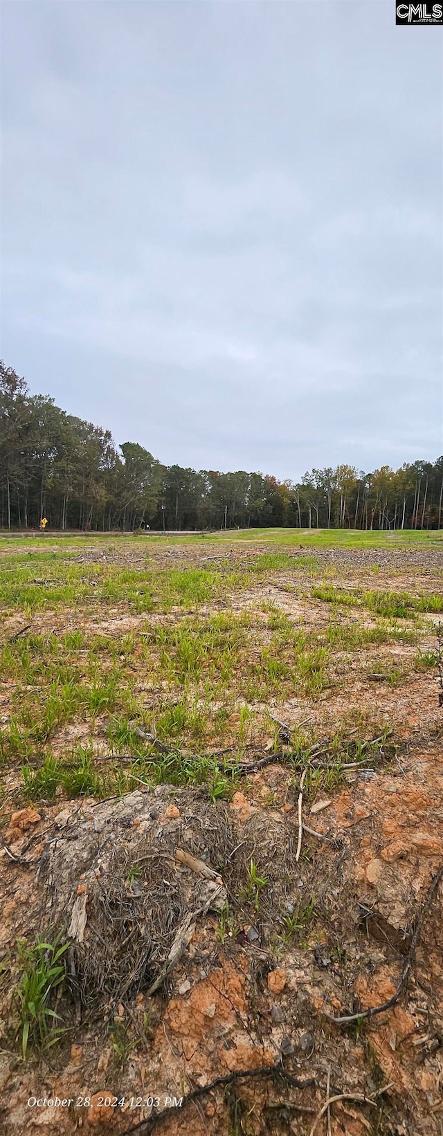 LOT1 Gold Nugget Pt Unit 1, Prosperity SC, 29127 land for sale