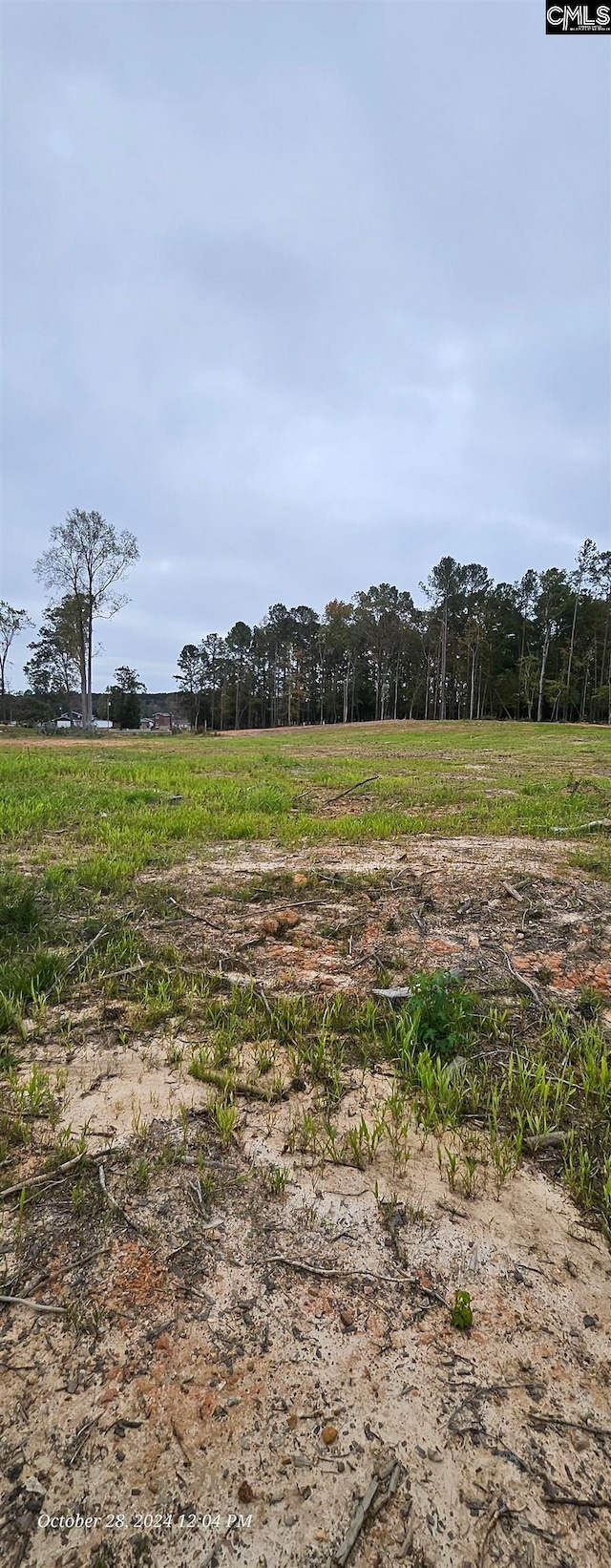 Listing photo 3 for LOT1 Gold Nugget Pt Unit 1, Prosperity SC 29127