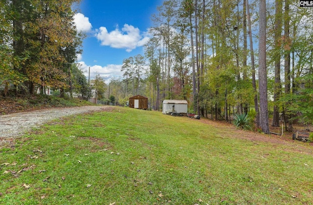 view of yard with a shed