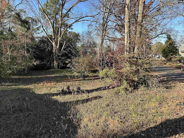 909 Charlotte St, Newberry SC, 29108 land for sale