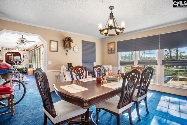 dining room with ceiling fan with notable chandelier, a wealth of natural light, a textured ceiling, and carpet