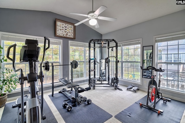 workout area featuring vaulted ceiling and plenty of natural light