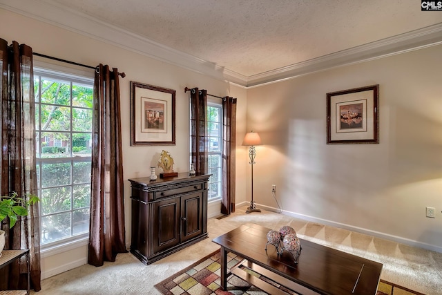 interior space featuring plenty of natural light, light carpet, a textured ceiling, and ornamental molding