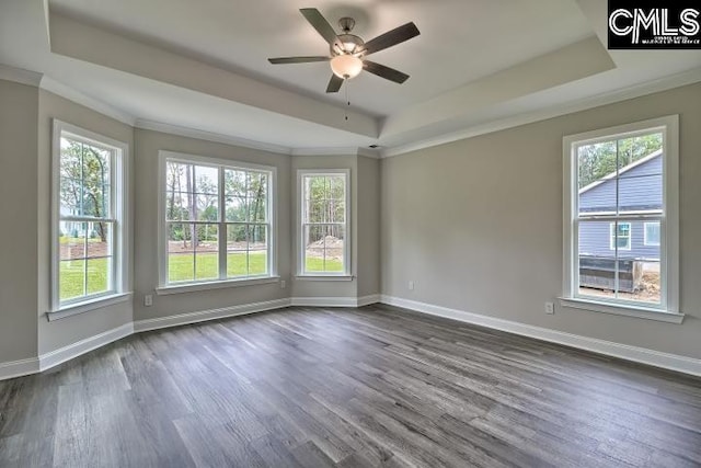 unfurnished room featuring a raised ceiling, ceiling fan, and dark wood-type flooring