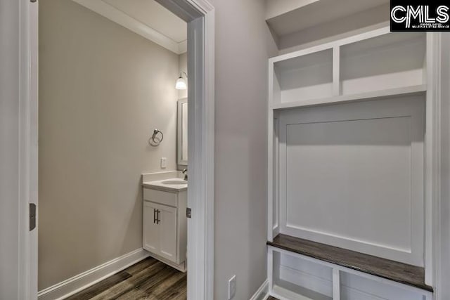 mudroom featuring sink and dark wood-type flooring