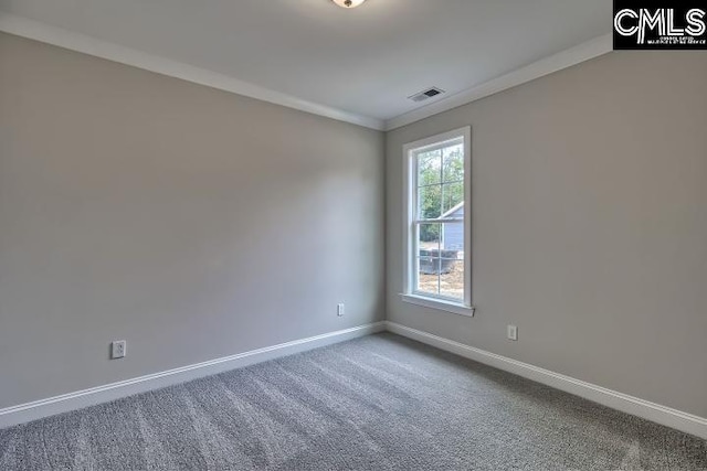 empty room featuring crown molding and carpet floors